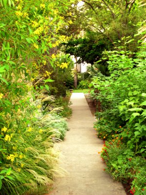 Garden Path through the Alamo