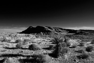Black Mesa
