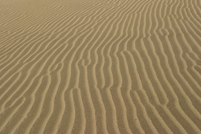 Death Valley Dunes & Dante's View