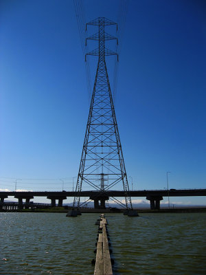 San Francisco Giant