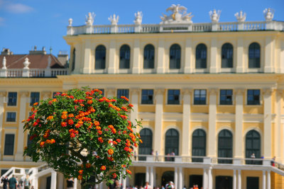 Schloss Schoenbrunn