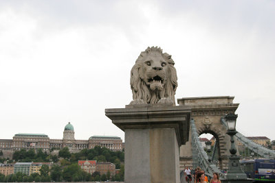 Buda Castle over the Chain Bridge