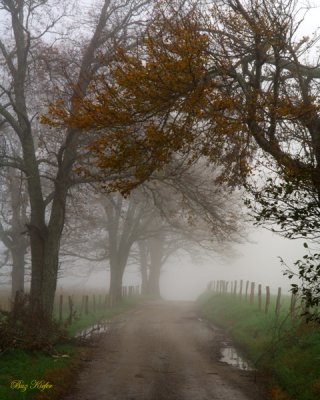 Sparks Lane in the Fog