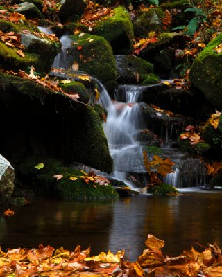 A Small Autumn Place