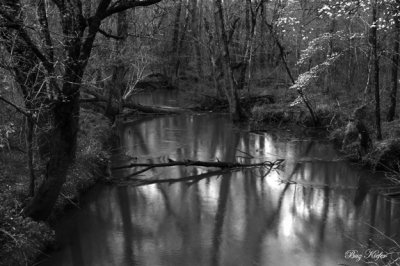 Abrams Creek