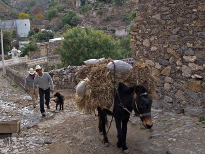 Real de Catorce: On the Way Home