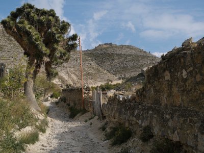 Real de Catorce: Towards the Ghost Town