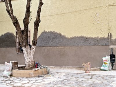 Zacatecas: Restoration 1