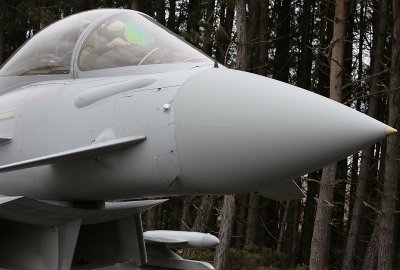 111SqnFams4.jpg