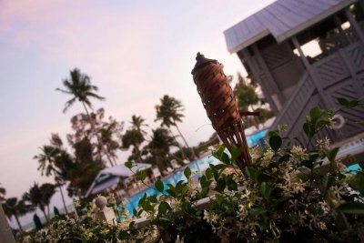 Amy and Jason's wedding at Sanibel Island's Casa Ybel Resort