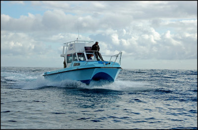 Birding boat much larger than the one we used