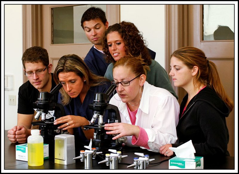 Science in the Classroom