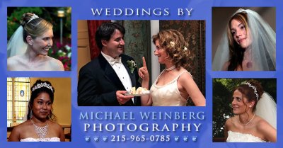 Michael Weinberg Wedding Photography Banner