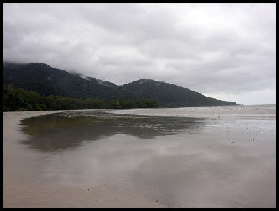 Cape Tribulation 1