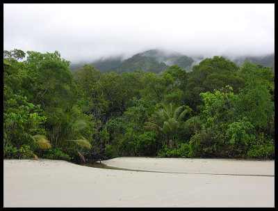 Cape Tribulation 2