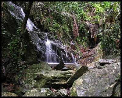 Daintree Ecolodge waterfall