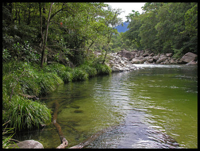 Mossman Gorge 1