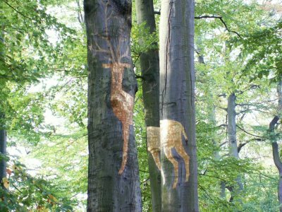 Mais ce n'etait qu'une illusion... (voir photos suivantes pour l'explication)