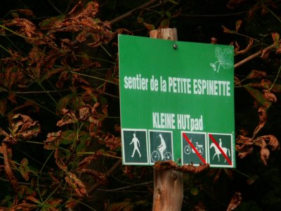 Traverse de la Drve St-Hubert vers le sentier de la Petite Espinette