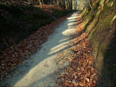 AVANT : sentier du Wolvenweg - rempierrement ncessaire sur les cts (suite)