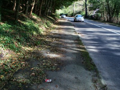 Débris piste cyclable bidirectionnelle - Av. Dubois.JPG