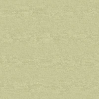 papier recycl grand.jpg