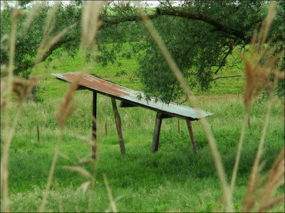Safari-photo dans les campagnes du Pays Noir. Chuuut... (suite)