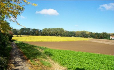 Couleurs d'automne ce matin en allant au boulot, haaaa vive le boulot !