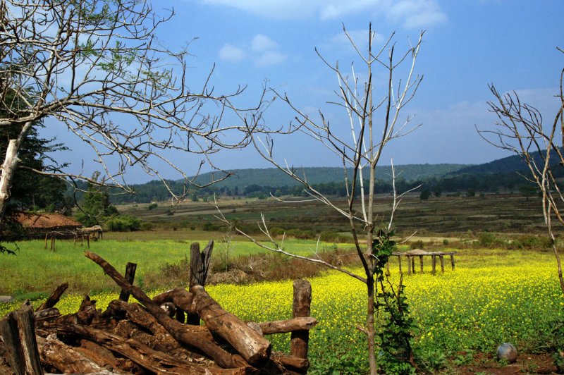 Kawardha - Chhattisgarh - India