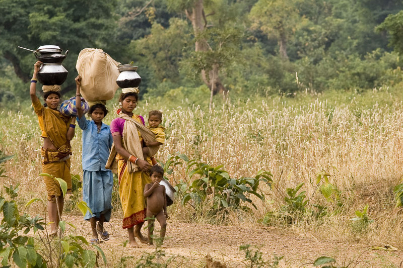 Kawardha - Chhattisgarh - India