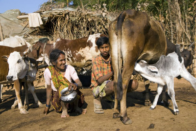 Kawardha - Chhattisgarh - India