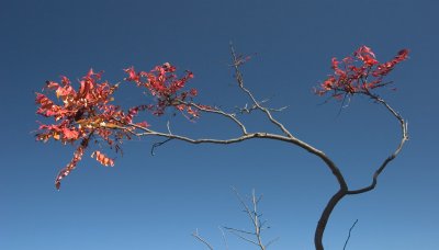 CRW_8675.jpg