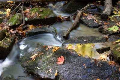 CRW_8625.jpg