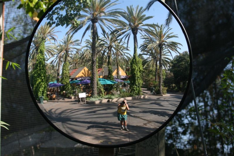 Love all the palm trees in this reflection