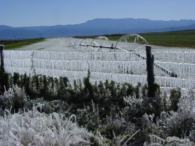 Ice cycle fence !!!!