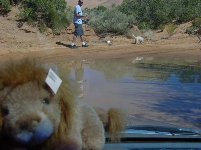 Bobblegum keeping C J  out of mud water hole . He hope's  !!!