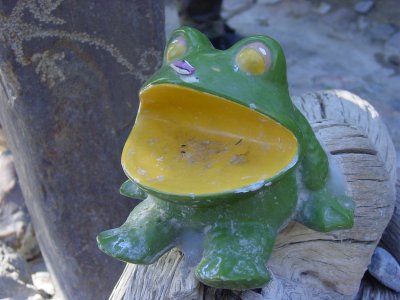 Frog suppose to hold soup , most have spit  out of its mouth !!!!