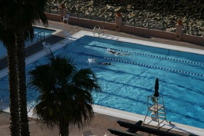  Hot laps in a outdoor  pool with Palm Tree's around !!!