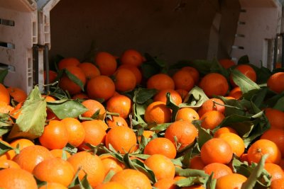 Torrance Farmers Market is March Challenge No 3