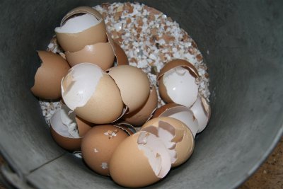 Eggs for garden soil,or fight slags & snials  !!!