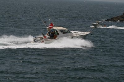 Big one going into harbor little one coming out for ride !!!