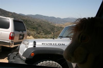  Lion got a eye on that rubicon !!!
