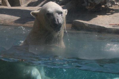 Just cooling off in the hot hot sun !!!