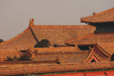Rooftops in Forbidden City