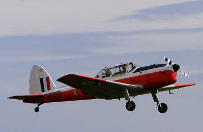Chipmunk from Kemble