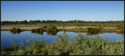 Le Teich - Parc Naturel Rgional