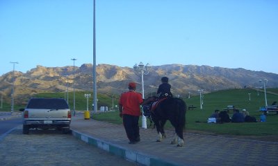 tn_CIMG1218.JPG