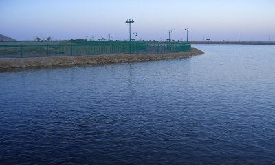 tn_CIMG1237.JPG