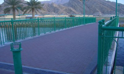 tn_CIMG1238.JPG
