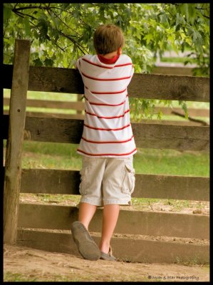 Boy and fence